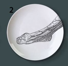 Human bone structure decoration plate (Option: 2style-6 inches)